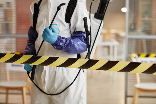 Professional Sewage Cleanup technician working in Groveton, NH